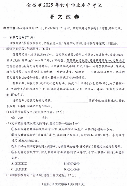2025年甘肃省金昌市中考语文真题