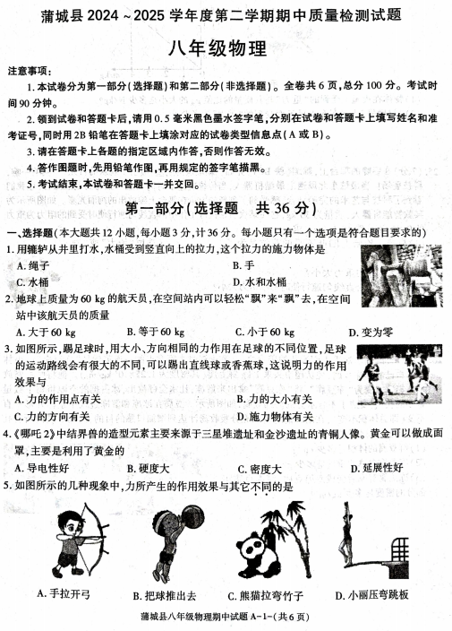 陕西省渭南市蒲城县2024-2025学年八年级下学期期中质量检测物理试题