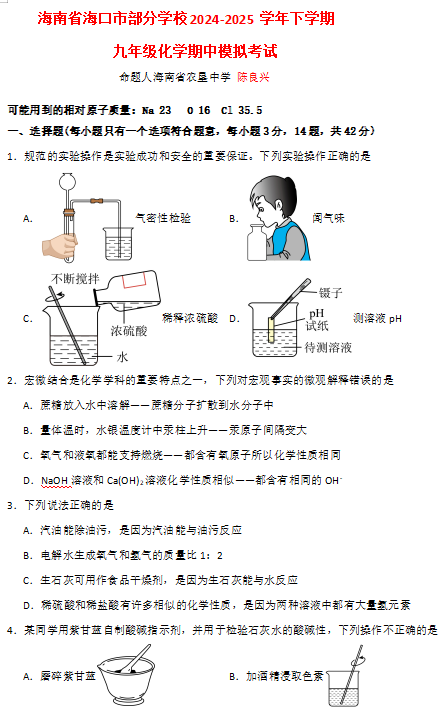 海南省海口市部分学校2024-2025学年九年级下学期期中模拟考试化学试题