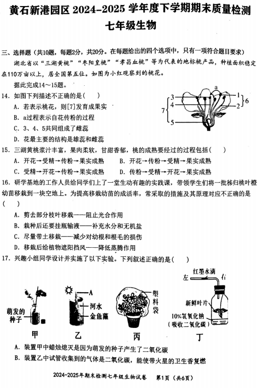 湖北省黄石市两区联考2024-2025学年七年级下学期期末生物试卷 湖北省黄石市两区联考2024-2025学年七年级下学期期末生物试卷