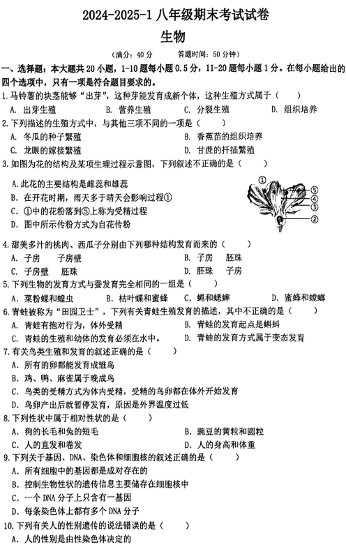 甘肃省兰州市第三十五中学2024-2025学年八年级上学期期末考试生物试卷