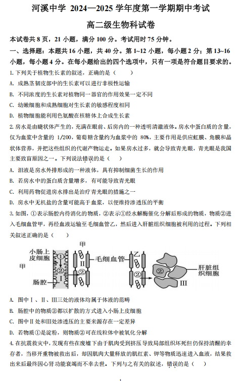 广东省汕头市潮阳区汕头市潮阳区河溪中学2024-2025学年高二上学期11月期中生物试题
