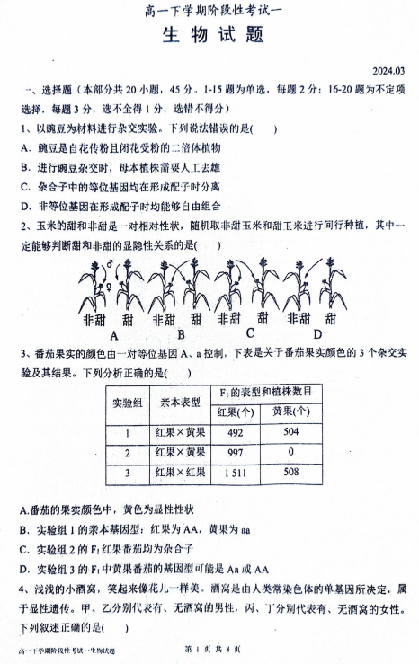 山东省泰安市宁阳县第一中学2023-2024学年高一下学期4月月考生物试题
