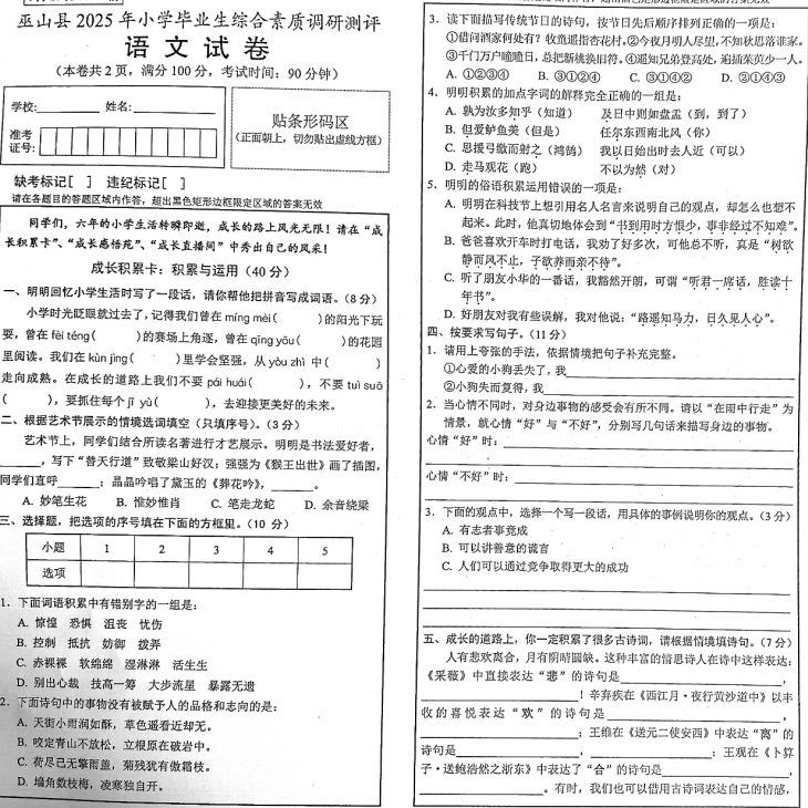重庆市巫山县2024-2025学年六年级下学期期末毕业语文试卷