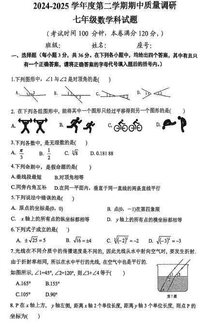 海南省省直辖县级行政单位乐东黎族自治县四校联考2024-2025学年七年级下学期4月期中考试数学试题