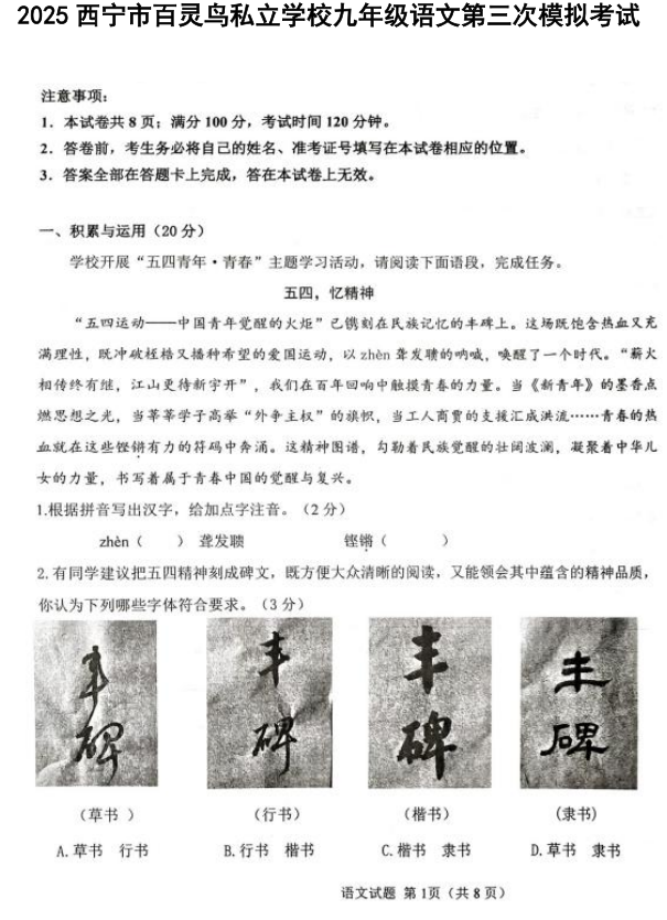 2025年青海省西宁市百灵鸟私立学校中考三模语文试题