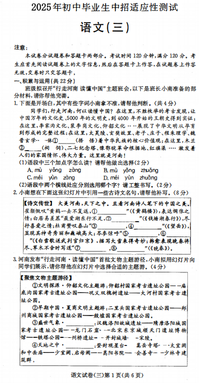 2025年河南省商丘市夏邑县中考适应性测试（三）语文试题
