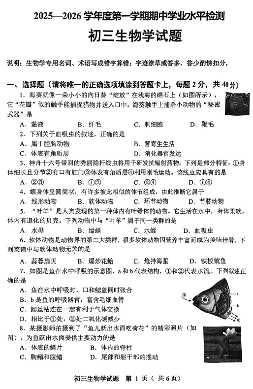 山东省淄博市张店区2025-2026学年八年级上学期11月期中生物试题 山东省淄博市张店区2025-2026学年八年级上学期11月期中生物试题