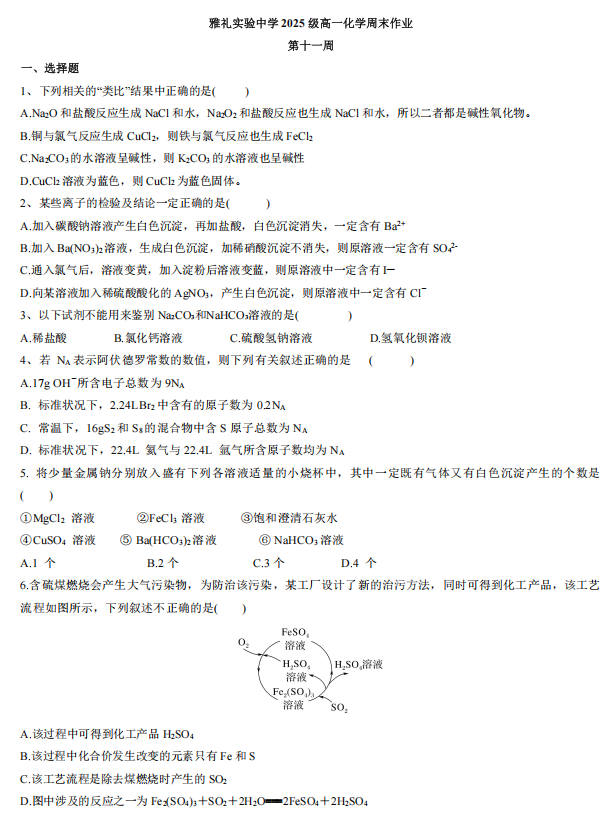 湖南省长沙市雅礼实验中学2025-2026学年高一上学期周末作业11+化学试题