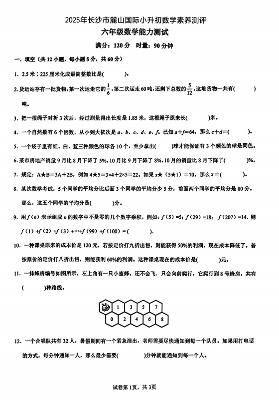 湖南省长沙市岳麓区长沙麓山国际实验学校2024-2025学年六年级小升初数学素养测评试题